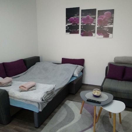 Rooms Jelena Zrenjanin Bagian luar foto